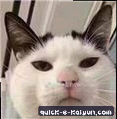 王磊